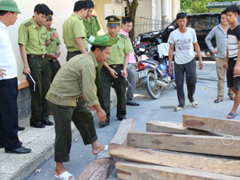 Kiểm lâm Thanh Hóa nhận hối lộ: Kiểm lâm viên khai gì?